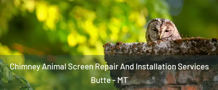  Chimney Animal Screen Repair And Installation Services Butte - MT