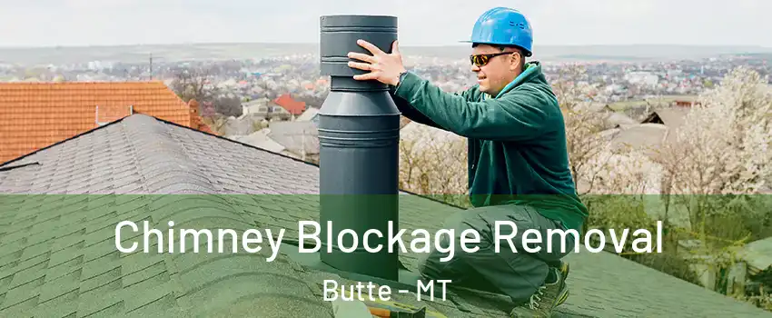  Chimney Blockage Removal Butte - MT