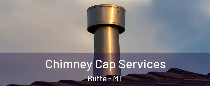  Chimney Cap Services Butte - MT
