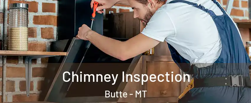  Chimney Inspection Butte - MT