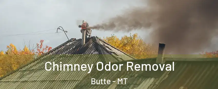  Chimney Odor Removal Butte - MT