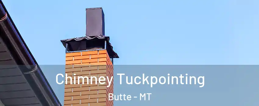  Chimney Tuckpointing Butte - MT