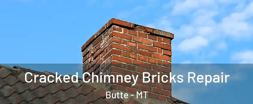  Cracked Chimney Bricks Repair Butte - MT