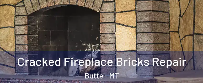  Cracked Fireplace Bricks Repair Butte - MT