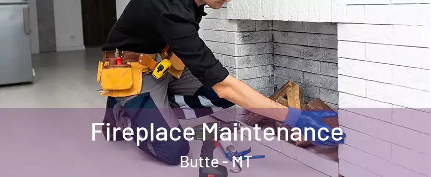  Fireplace Maintenance Butte - MT