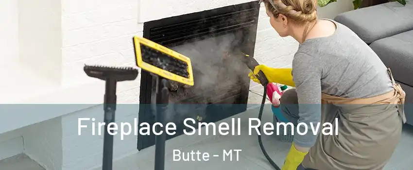 Fireplace Smell Removal Butte - MT