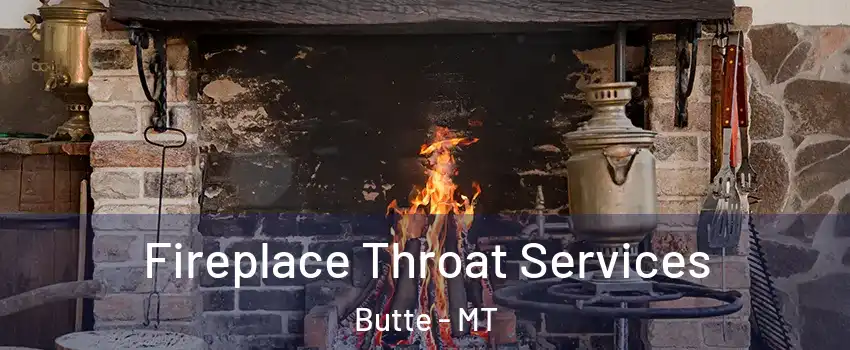  Fireplace Throat Services Butte - MT