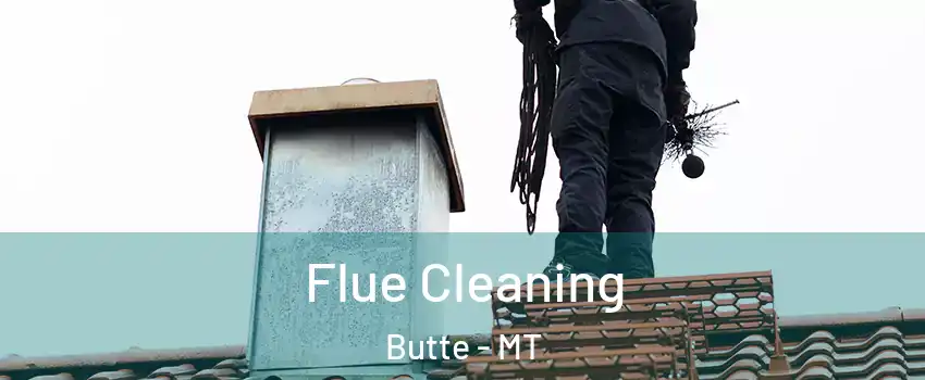 Flue Cleaning Butte - MT