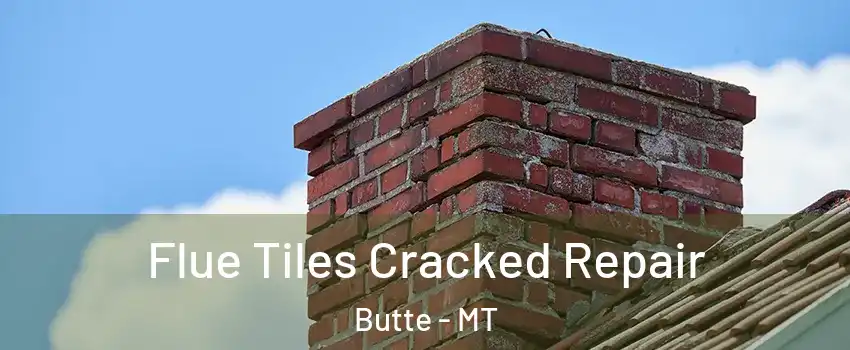 Flue Tiles Cracked Repair Butte - MT