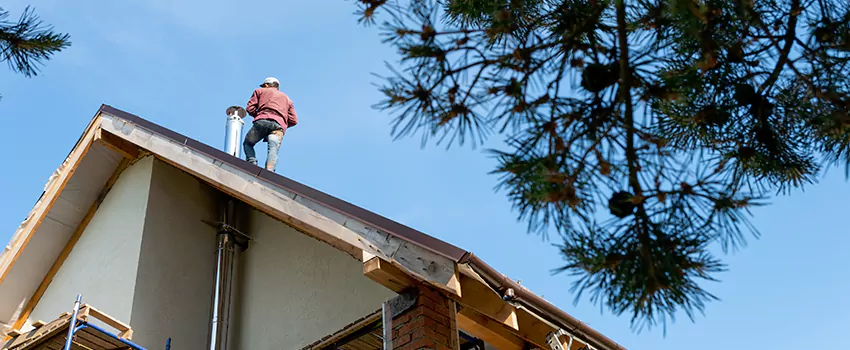 Birds Removal Contractors from Chimney in Butte, MT