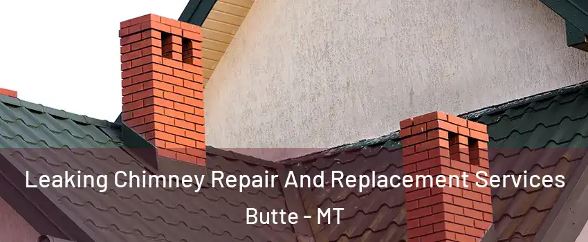  Leaking Chimney Repair And Replacement Services Butte - MT