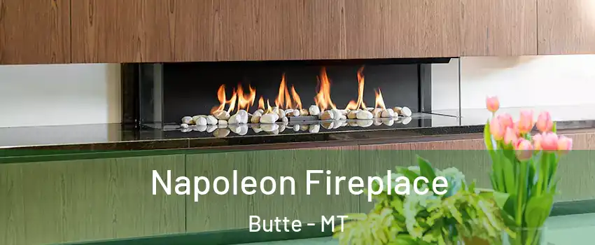  Napoleon Fireplace Butte - MT