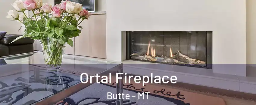 Ortal Fireplace Butte - MT