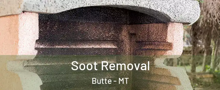  Soot Removal Butte - MT